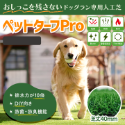 リアル人工芝 専門店 全国No.1の密度を誇るまるで天然芝のような、高