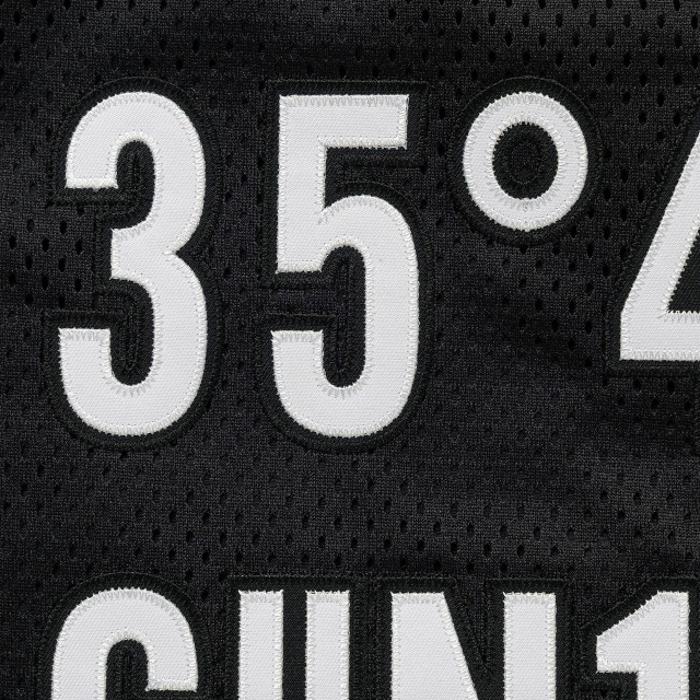 WTAPS ダブルタップス 2025 AW NETMINDER / LS / POLY