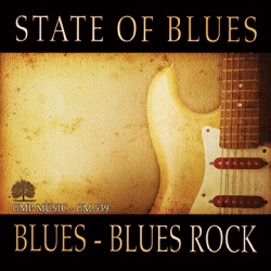 AV539 ステイトオブブルース