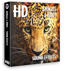 著作権フリー効果音素材動物 鳥効果音ライブラリ 24bit96khz