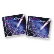 パワーサージ2/日本語インデックス付