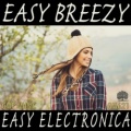 AV621 イージーブリージー・エレクトロニカ#ベストセラー2017#