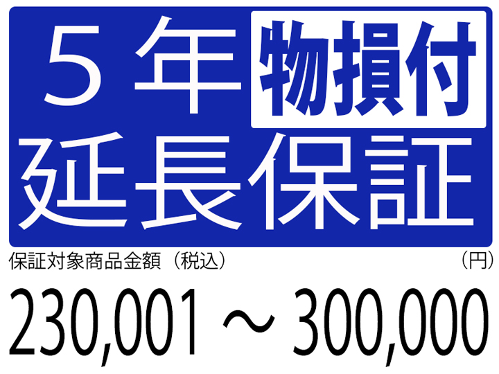 物損付5年延長保証[商品金額230,001円～300,000円]