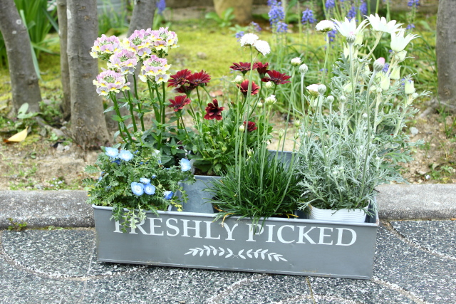 ６ブロックブリキボックス