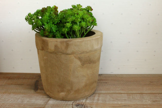 カービングポット/BIG 木製鉢 鉢カバー