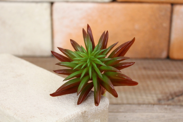 イミテーション多肉植物 グリーニー