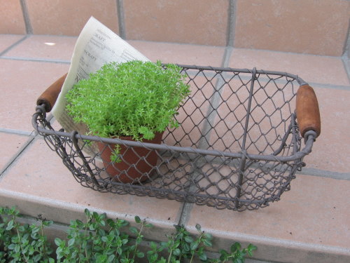 レトロバスケットＳ