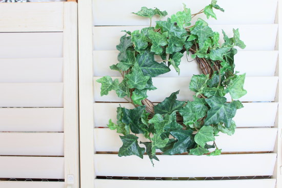 イミテーション・アイビーリースＳ