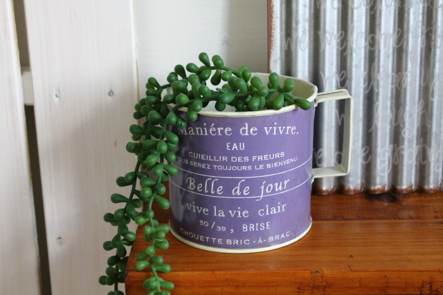 ヴィヨレベルカップ