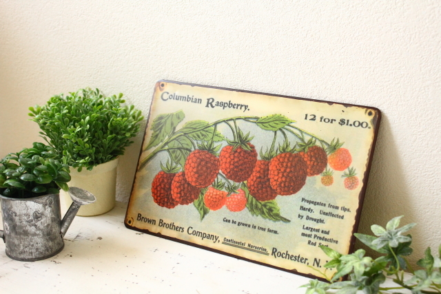 シャビーティンプレート/COLUMBIAN RASPBERRY