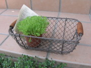 レトロバスケットＳ