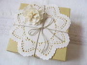 レースペーパー・サークルＭ