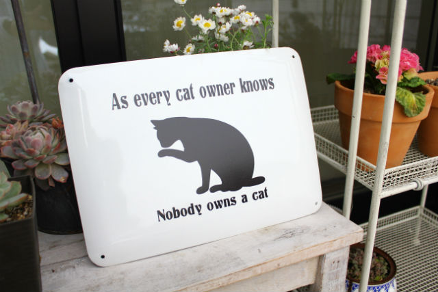 グルーミングプレート