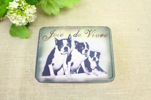 ブリキケース・ボストンテリア