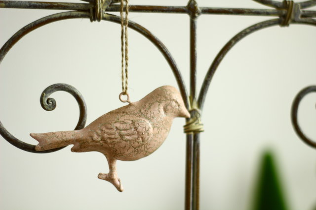 ブリキピンクバード