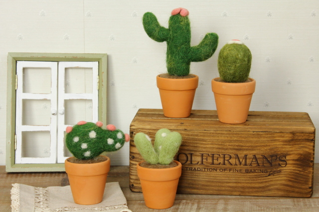 ふわふわサボテン・テラコッタポット入り