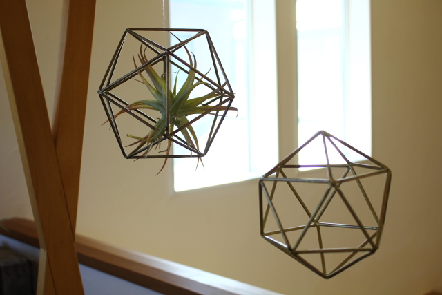 プランツフレーム