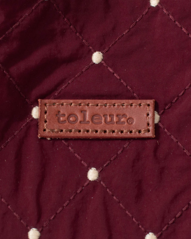 13051 toleur ステッチドット刺繍トート
