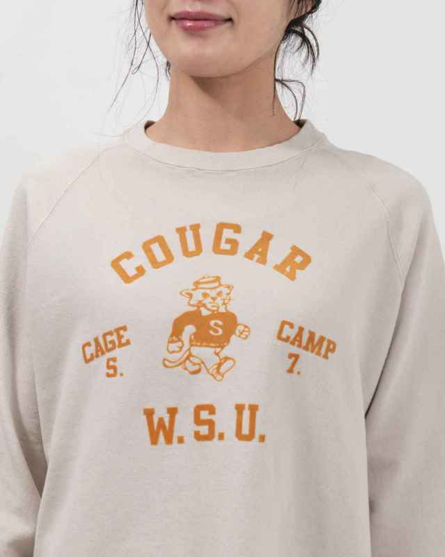 B-513004 BLUE LAKE MARKET BD30/10裏毛 ラグラン裏毛プルオーバー