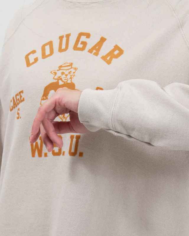 B-513004 BLUE LAKE MARKET BD30/10裏毛 ラグラン裏毛プルオーバー