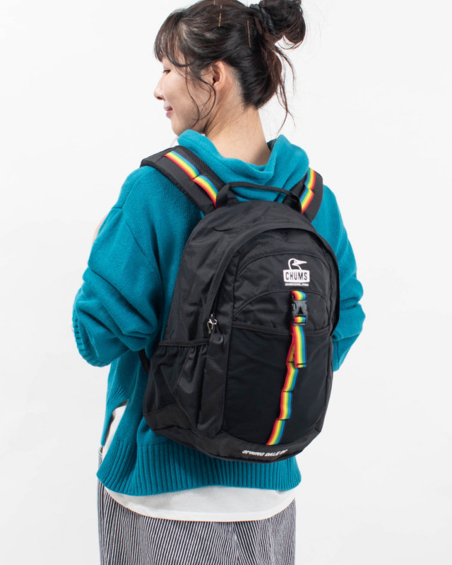 CH60-4099 CHUMS スプリングデール20(デイパック|リュック)