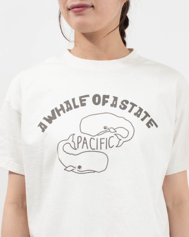 PPS-28271  PACIFIC PARK STORE 17/-BD天竺 ヘムラウンド半袖プリントTee［A WHALE OF A STATE PACIFIC］