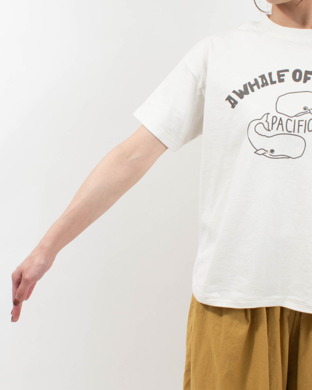 PPS-28271  PACIFIC PARK STORE 17/-BD天竺 ヘムラウンド半袖プリントTee［A WHALE OF A STATE PACIFIC］