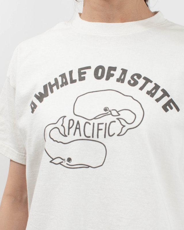 PPS-28271  PACIFIC PARK STORE 17/-BD天竺 ヘムラウンド半袖プリントTee［A WHALE OF A STATE PACIFIC］