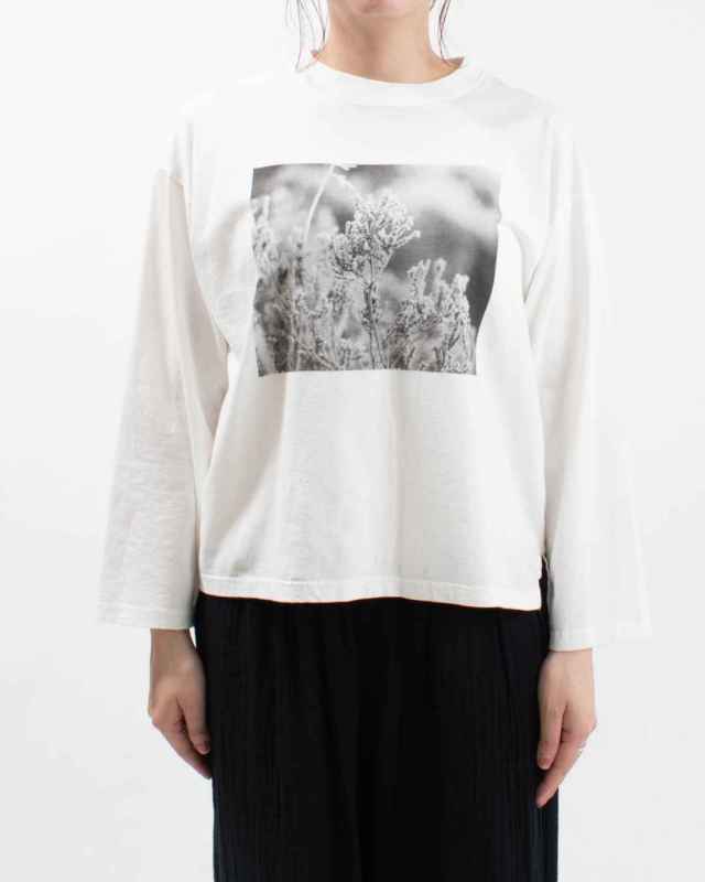 SA-35204 sabbatum 26/1BDTOP度詰天竺 前後差スタンダードプリントTee<PHOTO PRINT>