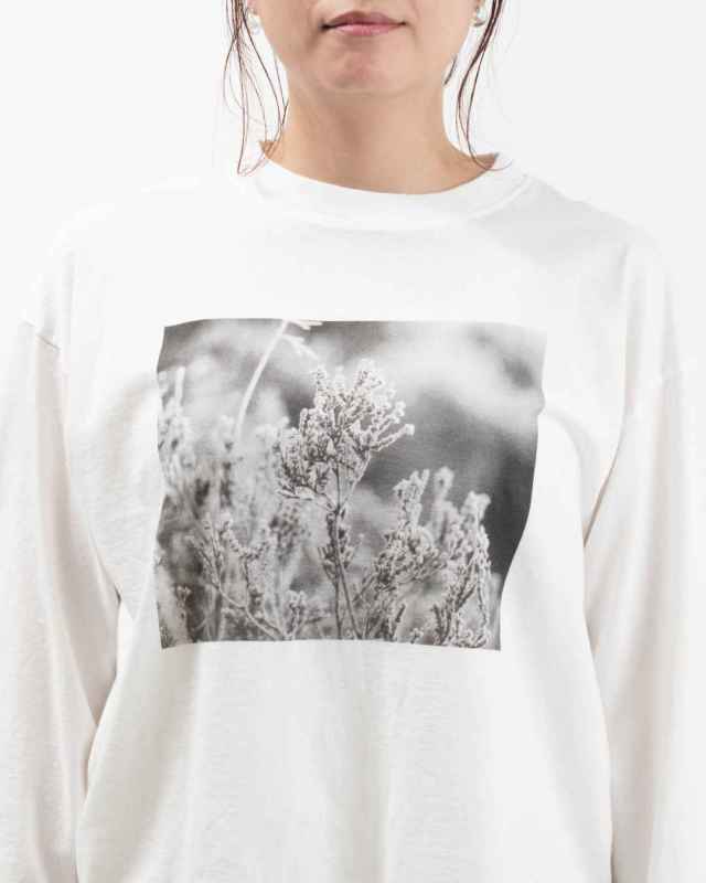 SA-35204 sabbatum 26/1BDTOP度詰天竺 前後差スタンダードプリントTee<PHOTO PRINT>