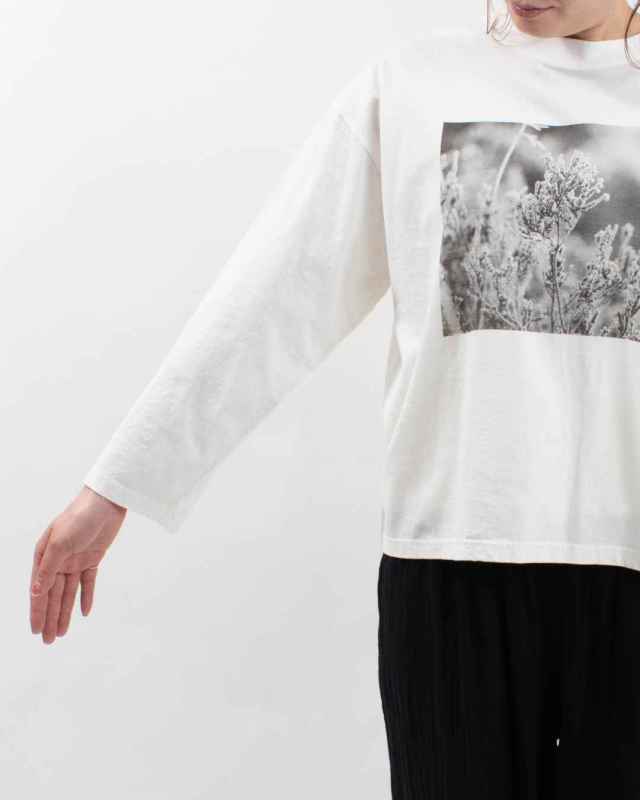 SA-35204 sabbatum 26/1BDTOP度詰天竺 前後差スタンダードプリントTee<PHOTO PRINT>