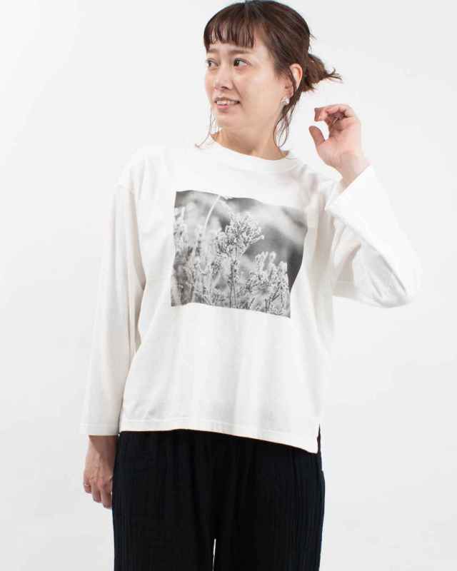 SA-35204 sabbatum 26/1BDTOP度詰天竺 前後差スタンダードプリントTee<PHOTO PRINT>