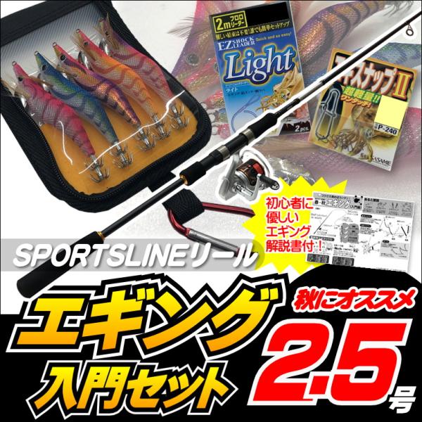 D-2　エギングロッド　リール　peライン　全て新品セット 送料無料】エギング入門セット ロッド・スポーツラインリールPE