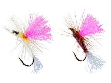 ダイワ(Daiwa) テンカラ毛針セット（パラシュート）