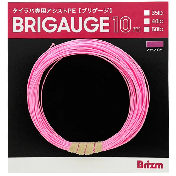 ブリズム（Brizm）ブリゲージ タイラバ用 PEアシストライン 中芯入 10m
