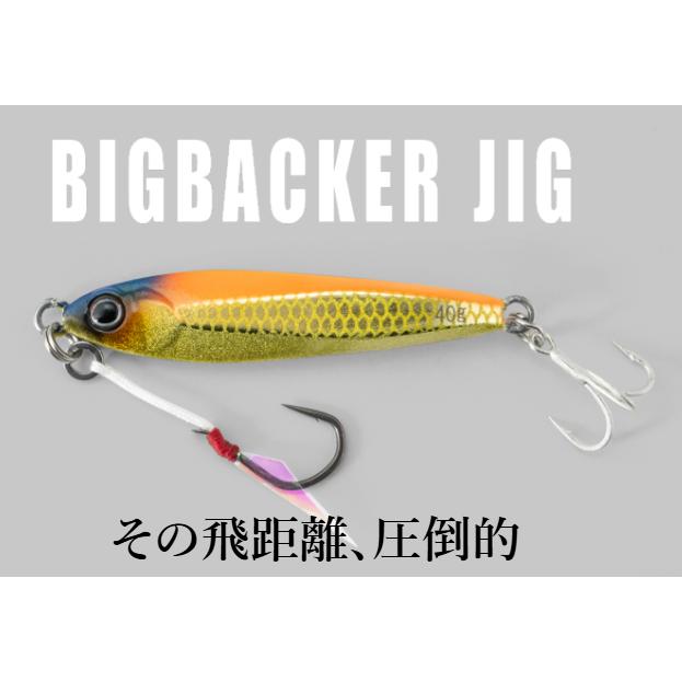 ジャッカル(JACKALL)　BIGBACKER JIG