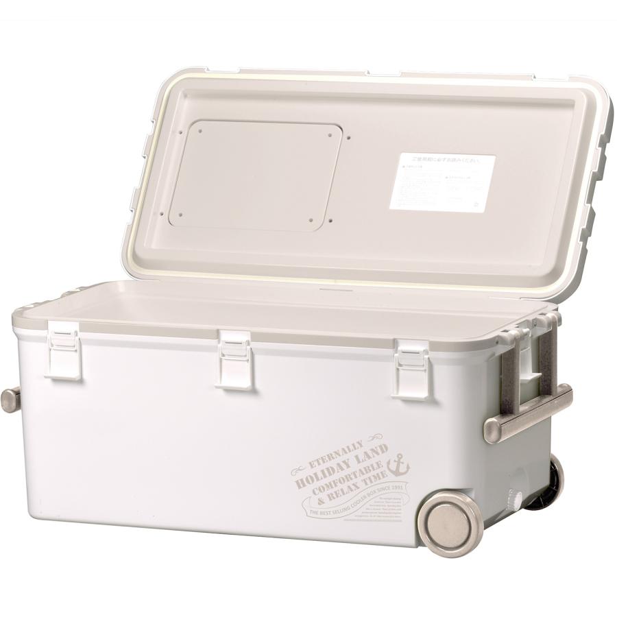 伸和（SHINWA） ホリデーランドクーラー 45H