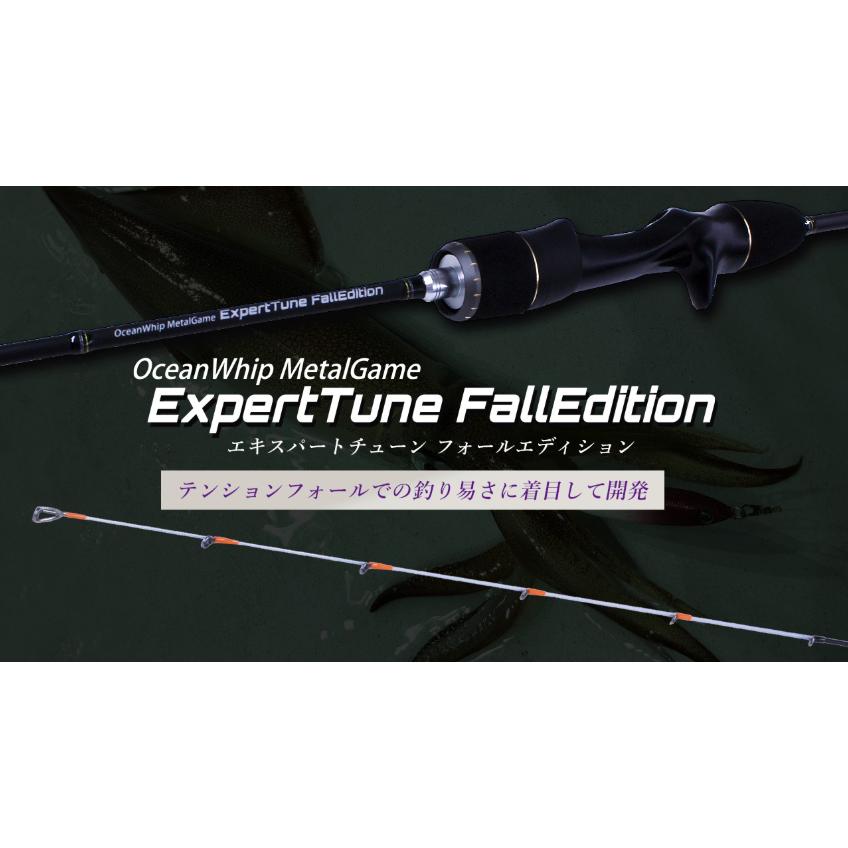 クレイジーオーシャン（crazy-ocean）　エキスパートチューン Fエディション OWEX-B64FE