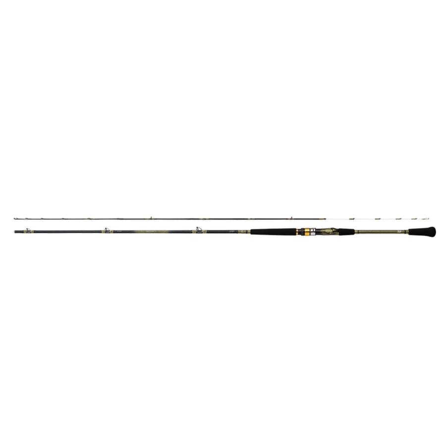 ダイワ(Daiwa) 23 アナリスター195