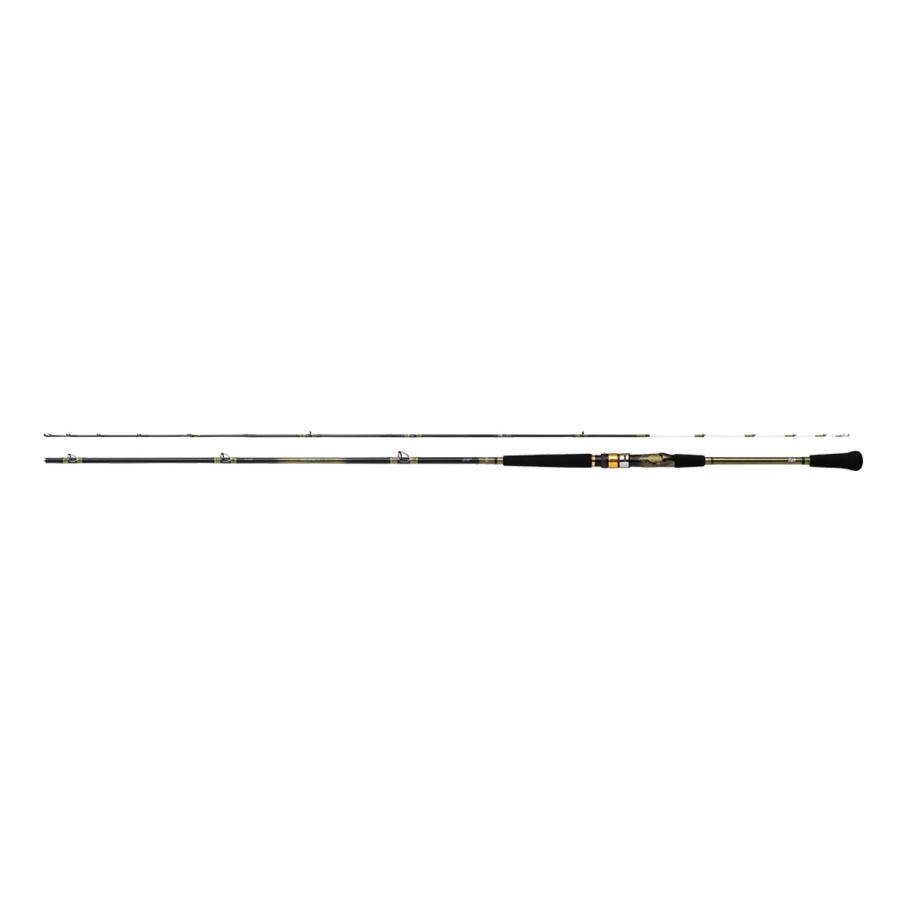 ダイワ(Daiwa) アナリスター73　30-210・Ｑ