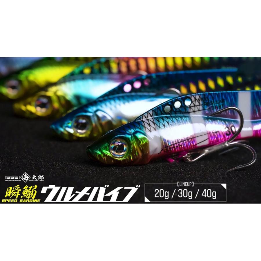 一誠(issei)スピードサーディン　ウルメバイブ