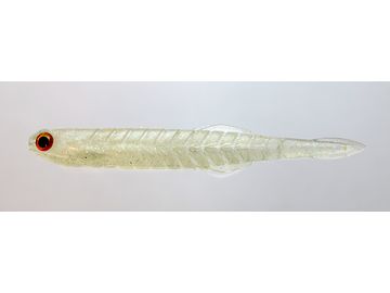 一誠(issei) 海太郎 カタクチワーム 4.5