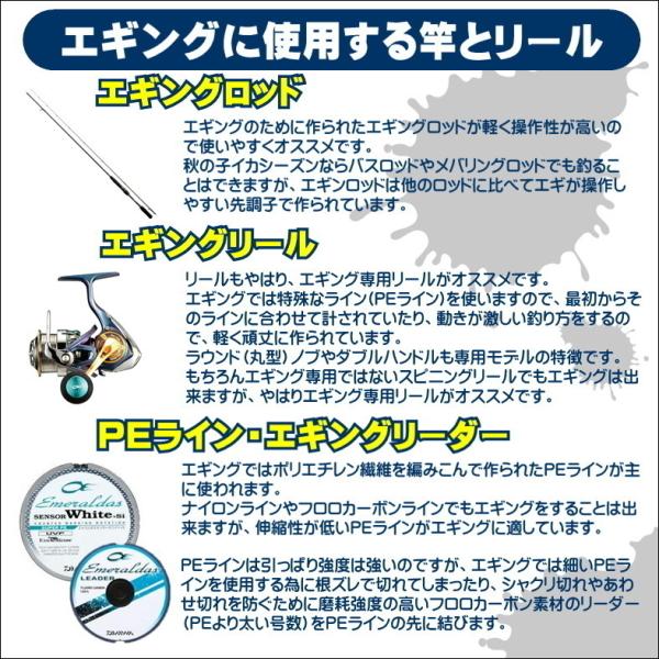 送料無料】エギング入門セット ロッド・PEライン付きリール・エギ
