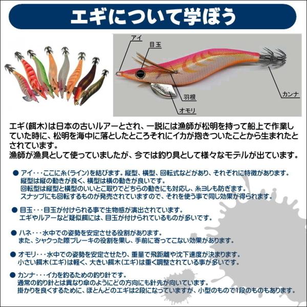 送料無料】エギング入門セット ロッド・PEライン付きリール・エギ