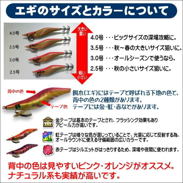 送料無料】エギング入門セット ロッド・PEライン付きリール・エギ