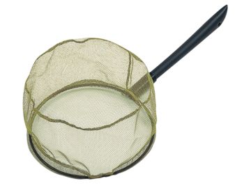 昌栄 オリーブあまご 24cm