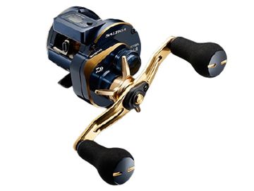 ダイワ(Daiwa) 21 ソルティガIC 100PL-DH