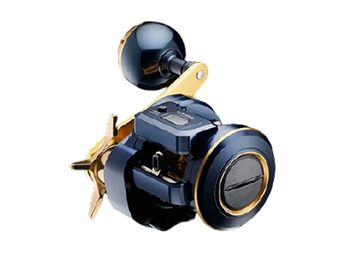 ダイワ(Daiwa) 21 ソルティガIC 100