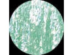 あわび本舗 アワビシート 日本あわび グリーン