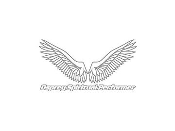 O.S.P O.S.Pウィングステッカー M シルバー